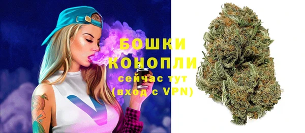 гидра Абаза