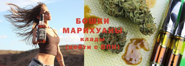 гидра Абаза