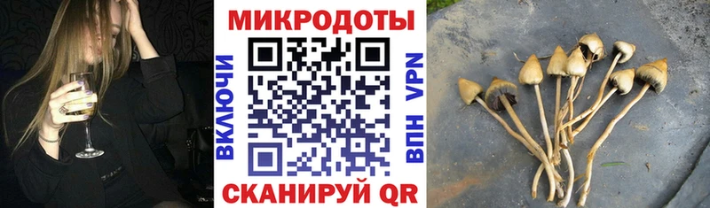 Псилоцибиновые грибы Psilocybe  Приволжский 